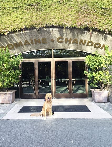 wineries_0002_domaine chandon